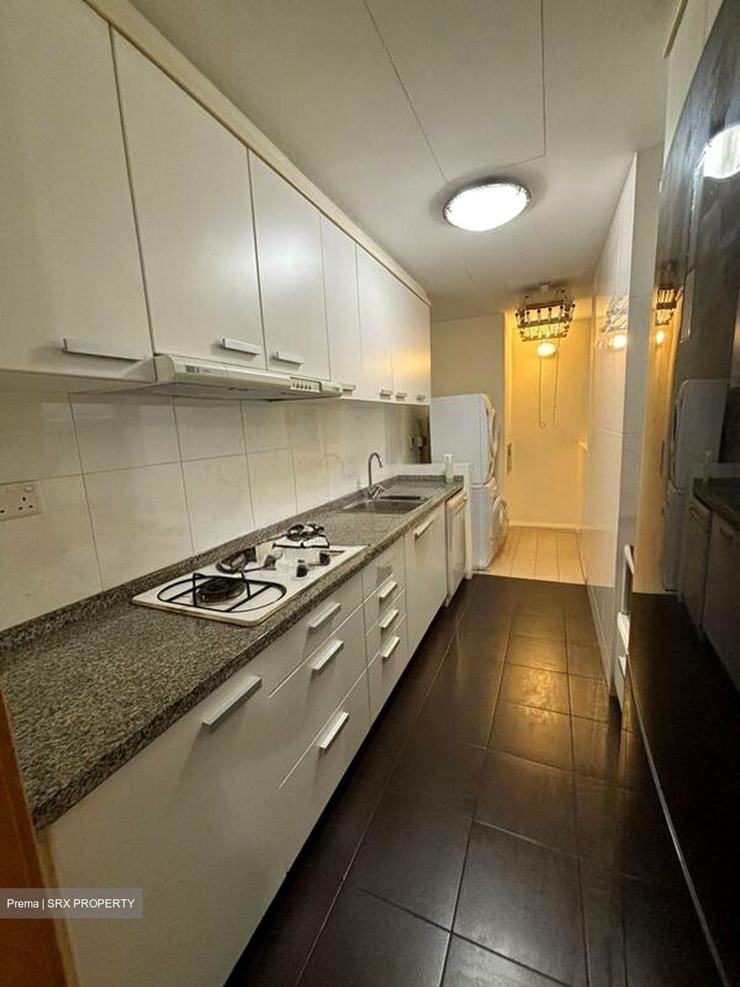Amaryllis Ville (D11), Condominium #566256271